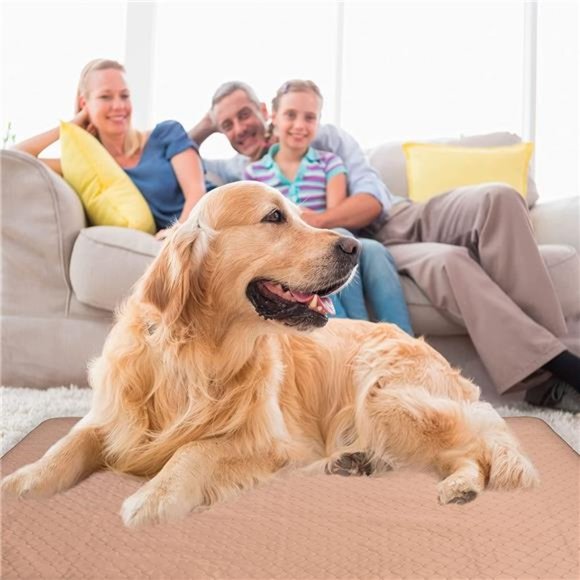 Reusable Dog Pee Pads for Dogs - Waterproof Puppy Potty Training Pee Pad - Picture 4 of 6